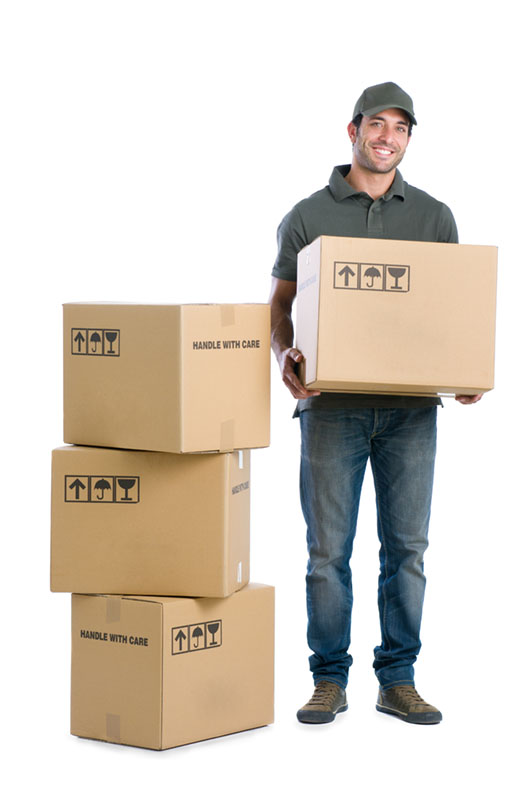 storage boxed.jpg